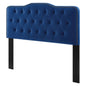 Sophia Tufted Performance Velvet Twin Headboard, Velvet, Blue Navy, 22267