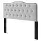 Sophia Tufted Performance Velvet King/California King Headboard, Velvet, Light Grey Gray, 22281