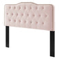 Sophia Tufted Performance Velvet King/California King Headboard, Velvet, Pink, 22284