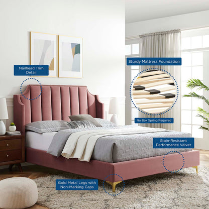 Daniella Performance Velvet Queen Platform Bed, Velvet, Pink, 22287