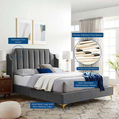 Daniella Performance Velvet Queen Platform Bed, Velvet, Grey Gray, 22289