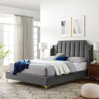 Daniella Performance Velvet Queen Platform Bed, Velvet, Grey Gray, 22289