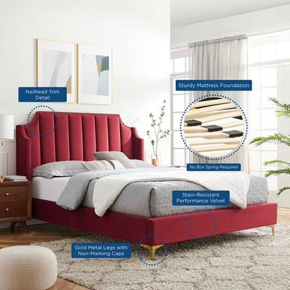 Daniella Performance Velvet Queen Platform Bed, Velvet, Red, 22290