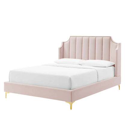 Daniella Performance Velvet Queen Platform Bed, Velvet, Pink, 22292