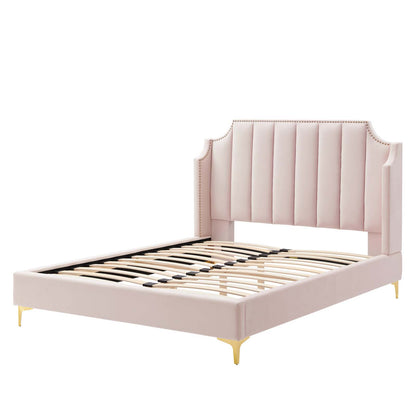 Daniella Performance Velvet Queen Platform Bed, Velvet, Pink, 22292