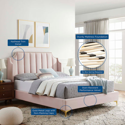 Daniella Performance Velvet Queen Platform Bed, Velvet, Pink, 22292