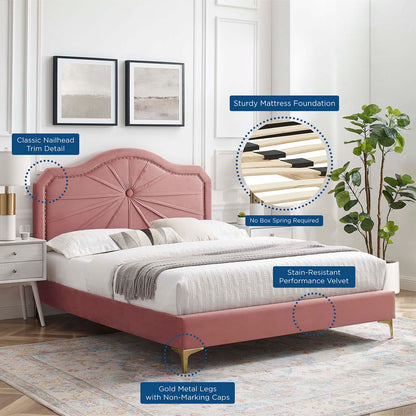 Portia Performance Velvet Queen Platform Bed, Velvet, Pink, 23410