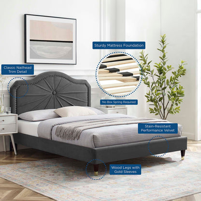 Portia Performance Velvet Queen Platform Bed, Velvet, Dark Grey Gray, 23417