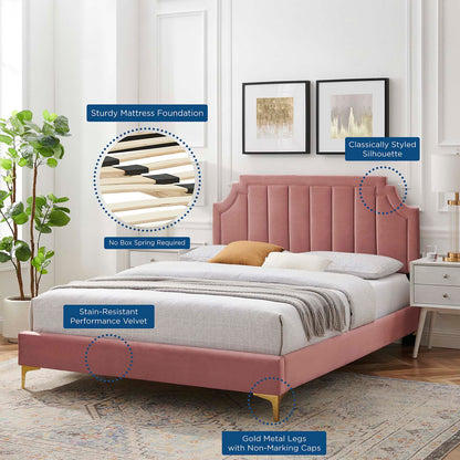 Sienna Performance Velvet Queen Platform Bed, Velvet, Pink, 23434