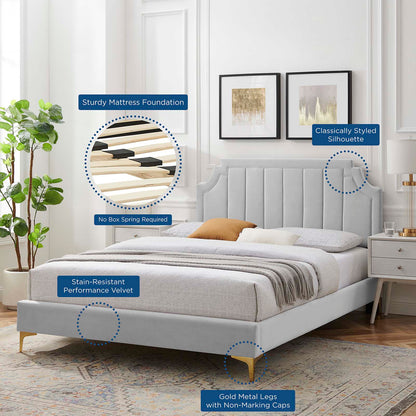 Sienna Performance Velvet Queen Platform Bed, Velvet, Light Grey Gray, 23435
