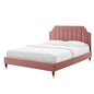 Sienna Performance Velvet Queen Platform Bed, Velvet, Pink, 23442