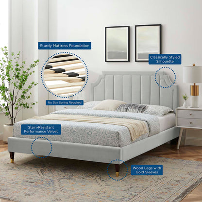 Sienna Performance Velvet Queen Platform Bed, Velvet, Light Grey Gray, 23443