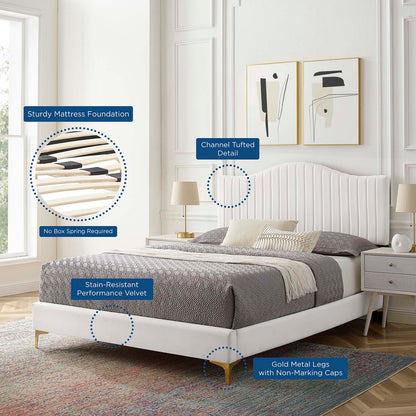 Juniper Channel Tufted Performance Velvet Queen Platform Bed, Velvet, White, 22618