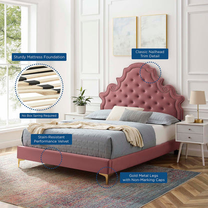 Gwyneth Tufted Performance Velvet Queen Platform Bed, Velvet, Pink, 22675