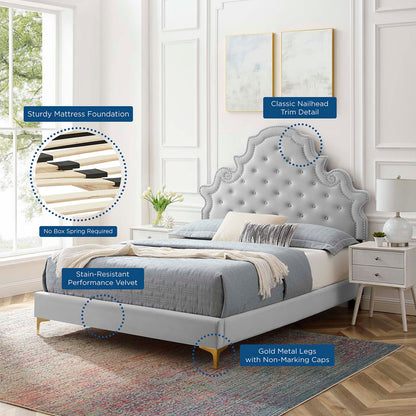 Gwyneth Tufted Performance Velvet Queen Platform Bed, Velvet, Light Grey Gray, 22676