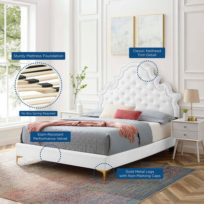 Gwyneth Tufted Performance Velvet Queen Platform Bed, Velvet, White, 22681