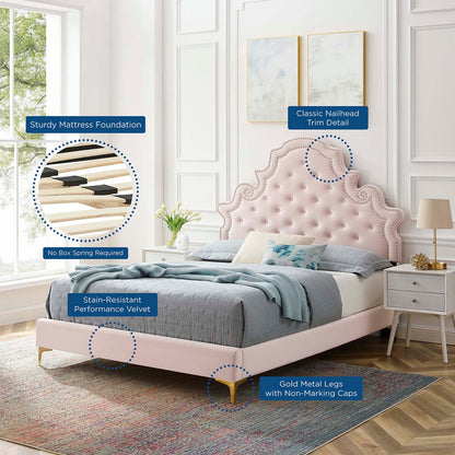 Gwyneth Tufted Performance Velvet Twin Platform Bed, Velvet, Pink, 22703