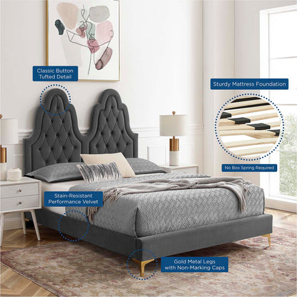 Alexandria Tufted Performance Velvet Queen Platform Bed, Velvet, Dark Grey Gray, 22770