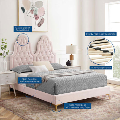 Alexandria Tufted Performance Velvet Queen Platform Bed, Velvet, Pink, 22775