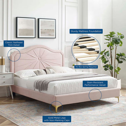 Portia Performance Velvet Full Platform Bed, Velvet, Pink, 23510