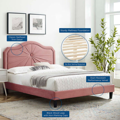 Portia Performance Velvet King Platform Bed, Velvet, Pink, 23570