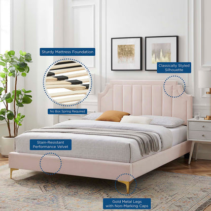 Sienna Performance Velvet King Platform Bed, Velvet, Pink, 23582