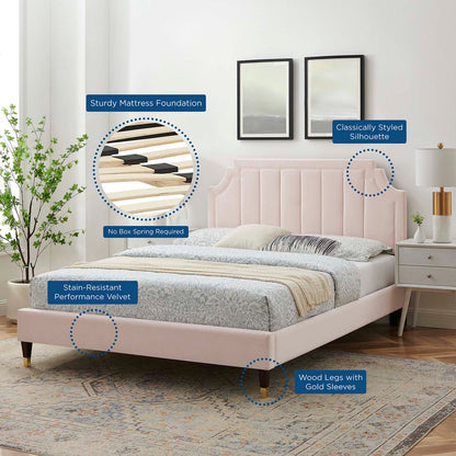 Sienna Performance Velvet King Platform Bed, Velvet, Pink, 23590