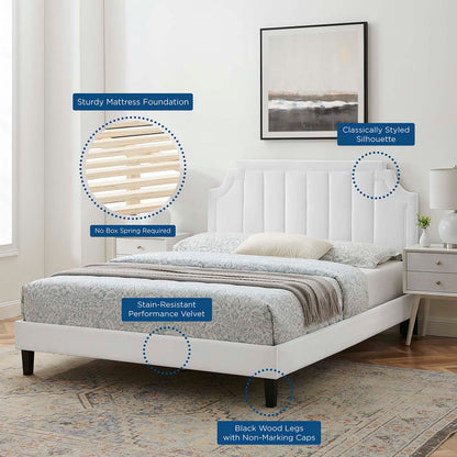 Sienna Performance Velvet King Platform Bed, Velvet, White, 23600