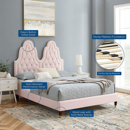 Alexandria Tufted Performance Velvet King Platform Bed, Velvet, Pink, 23071